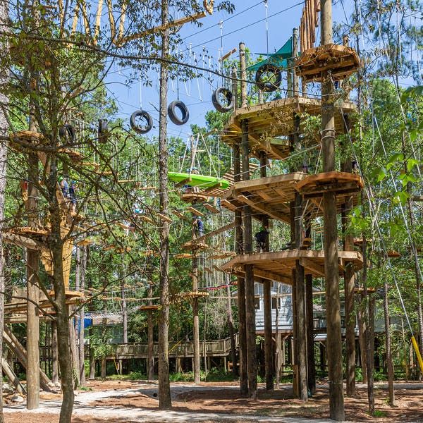 Aerial obstacle course in the trees