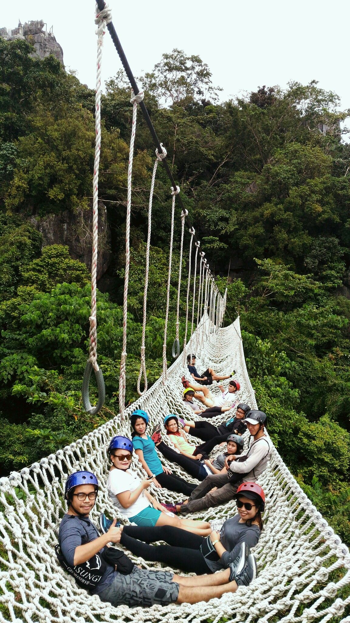 Suspended rope walkway over forest canopy