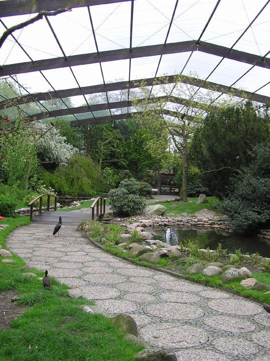 Bird sanctuary conservatory path